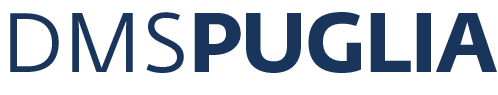 assets/dms logo